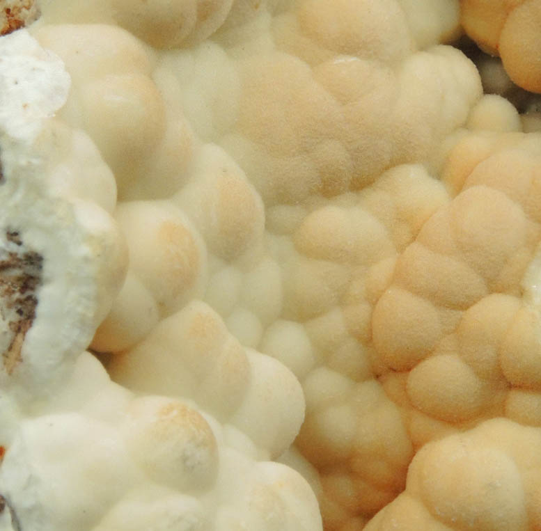 Hemimorphite with minor Galena from Old Glencrieff Mine, Wanlockhead, Scotland