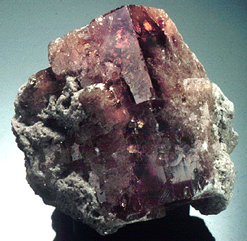 Fluorite from Maumee Stone Quarry, Lime City, Ohio