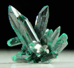 Brochantite from Milpillas Mine, Cuitaca, Sonora, Mexico