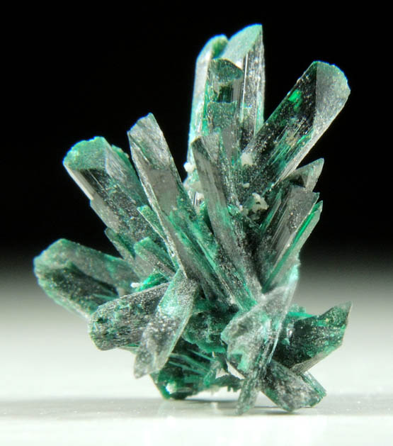 Brochantite from Milpillas Mine, Cuitaca, Sonora, Mexico