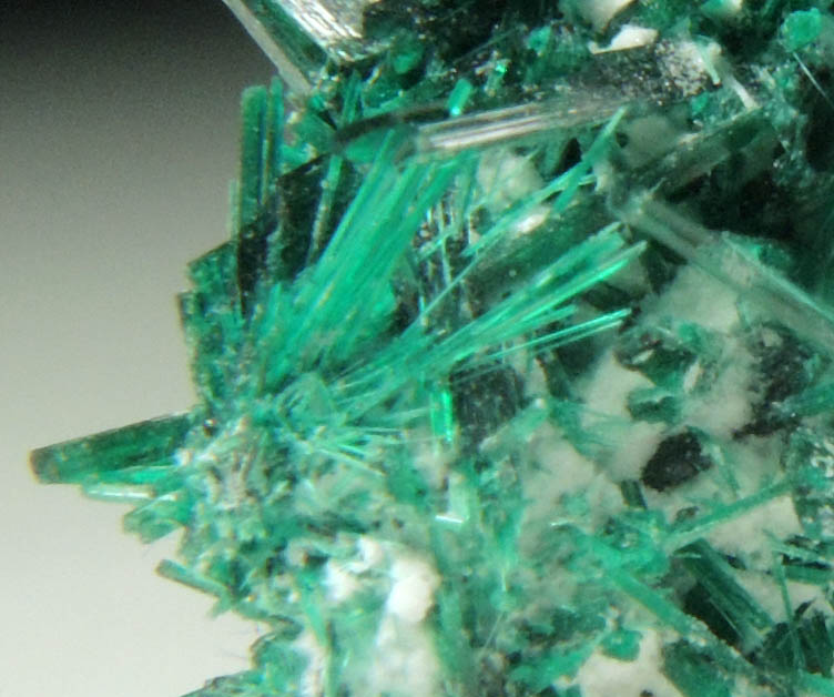 Brochantite from Milpillas Mine, Cuitaca, Sonora, Mexico