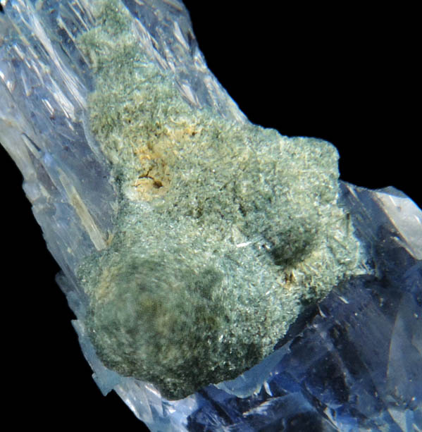 Jeremejevite with Foitite-Elbaite Tourmaline from Ameib Farm, Usakos, NE of Swakopmund, Erongo Region, Namibia