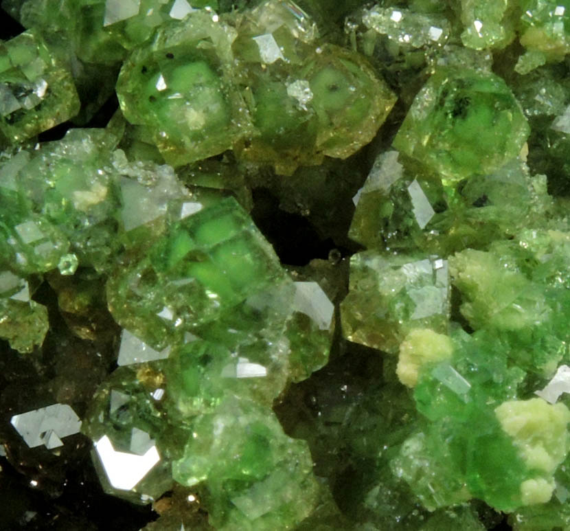 Grossular var. Chrome-Grossular from Jeffrey Mine, Asbestos, Qubec, Canada