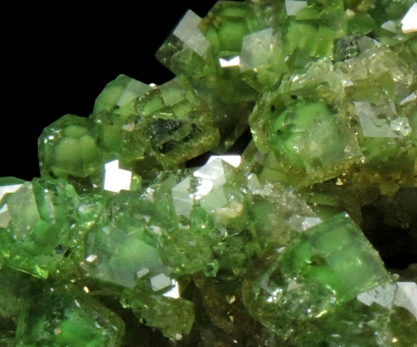 Grossular var. Chrome-Grossular from Jeffrey Mine, Asbestos, Qubec, Canada