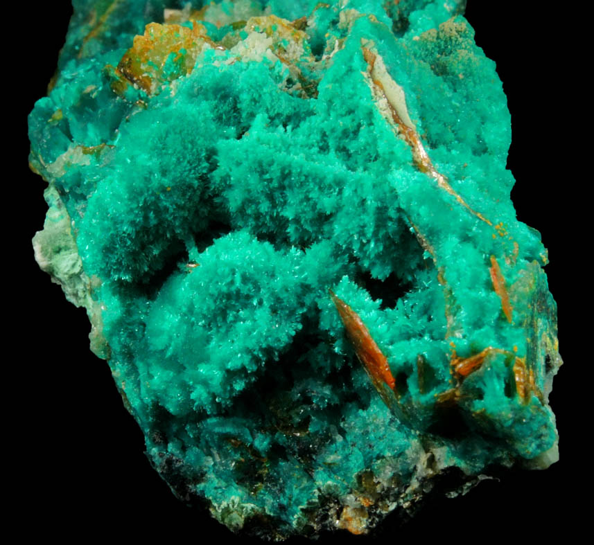 Dioptase, Wulfenite, Willemite, Chrysocolla from Mammoth-St. Anthony Mine, Tiger District, Pinal County, Arizona