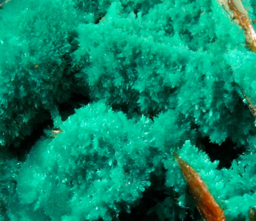 Dioptase, Wulfenite, Willemite, Chrysocolla from Mammoth-St. Anthony Mine, Tiger District, Pinal County, Arizona