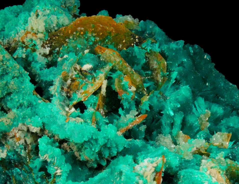 Dioptase, Wulfenite, Willemite, Chrysocolla from Mammoth-St. Anthony Mine, Tiger District, Pinal County, Arizona