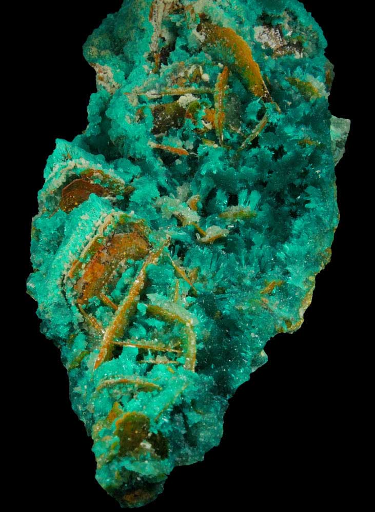 Dioptase, Wulfenite, Willemite, Chrysocolla from Mammoth-St. Anthony Mine, Tiger District, Pinal County, Arizona