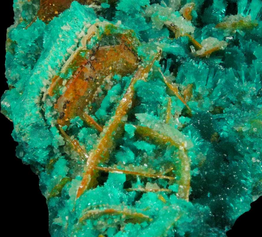 Dioptase, Wulfenite, Willemite, Chrysocolla from Mammoth-St. Anthony Mine, Tiger District, Pinal County, Arizona