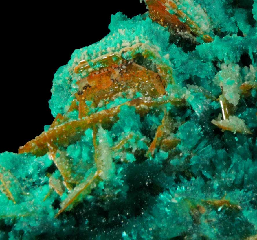 Dioptase, Wulfenite, Willemite, Chrysocolla from Mammoth-St. Anthony Mine, Tiger District, Pinal County, Arizona