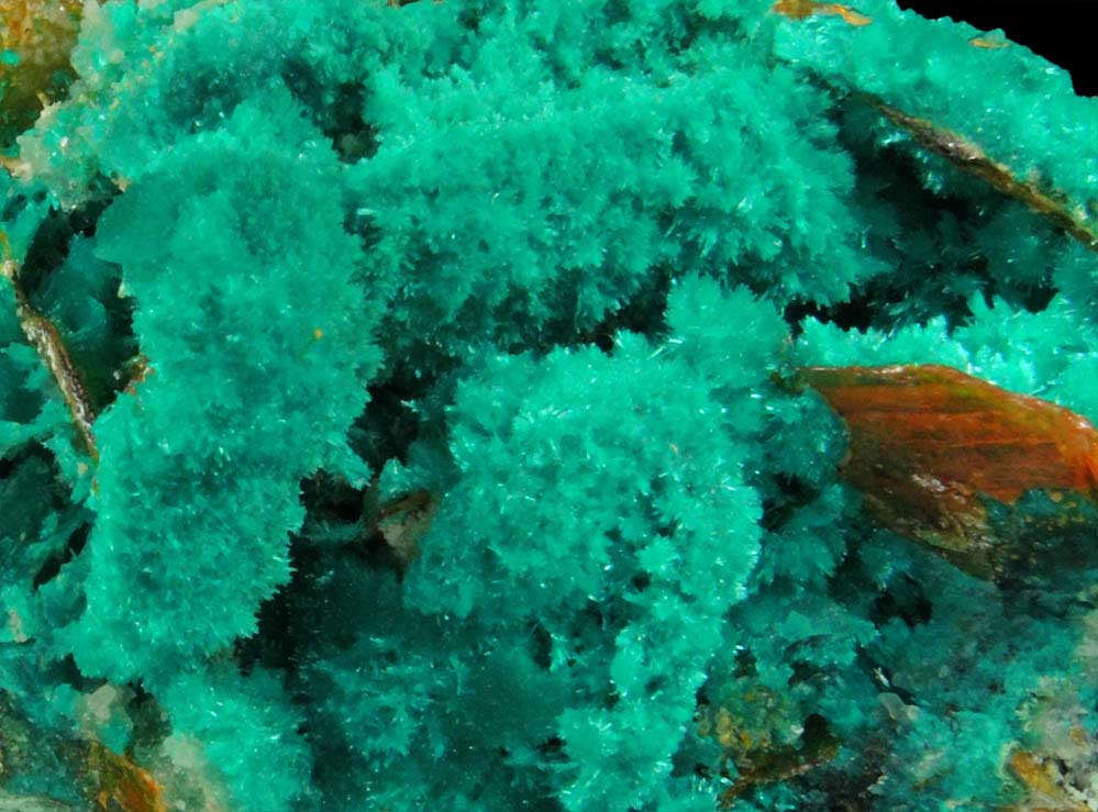 Dioptase, Wulfenite, Willemite, Chrysocolla from Mammoth-St. Anthony Mine, Tiger District, Pinal County, Arizona