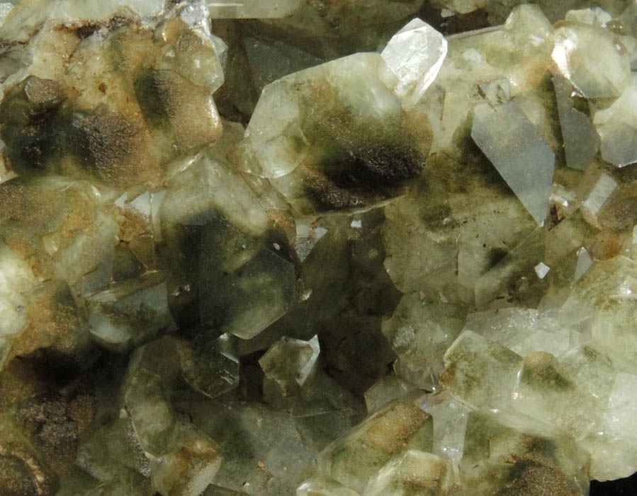 Apophyllite included with Chlorite from Millington Quarry, Bernards Township, Somerset County, New Jersey