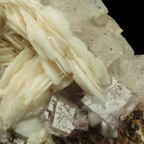 Barite on Fluorite from Coldstones Quarry, Pateley Bridge District, North Yorkshire, England