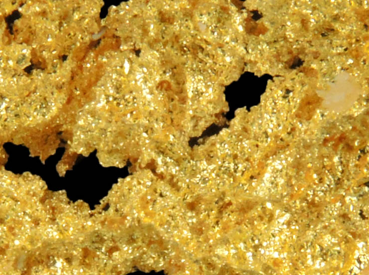 Gold from Mother Lode District, Tuolumne County, California