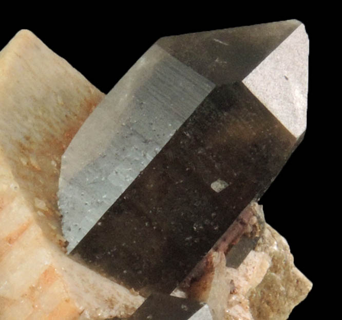 Quartz var. Smoky Quartz on Microcline from Monte Maria, Cagliari, Sardinia, Italy