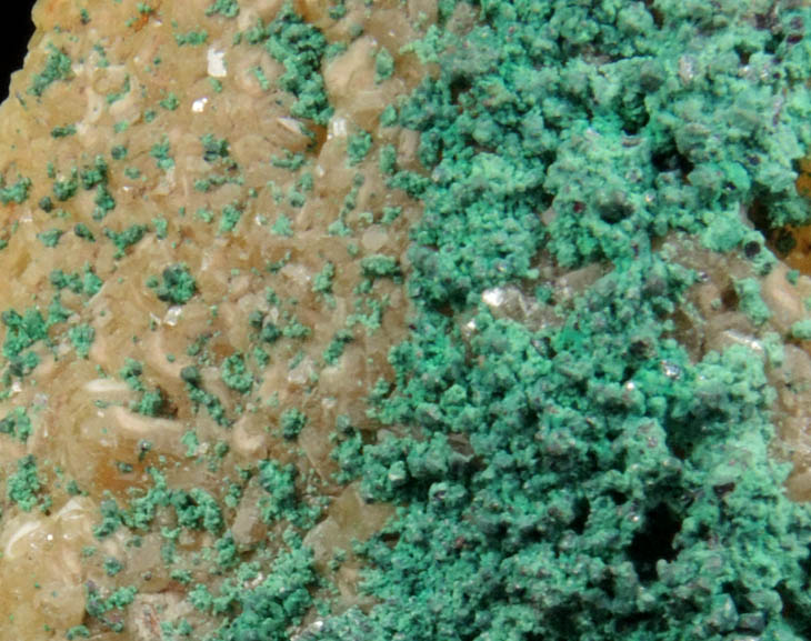 Cerussite (chrome-rich) from Dundas, Zeehan District, Tasmania, Australia