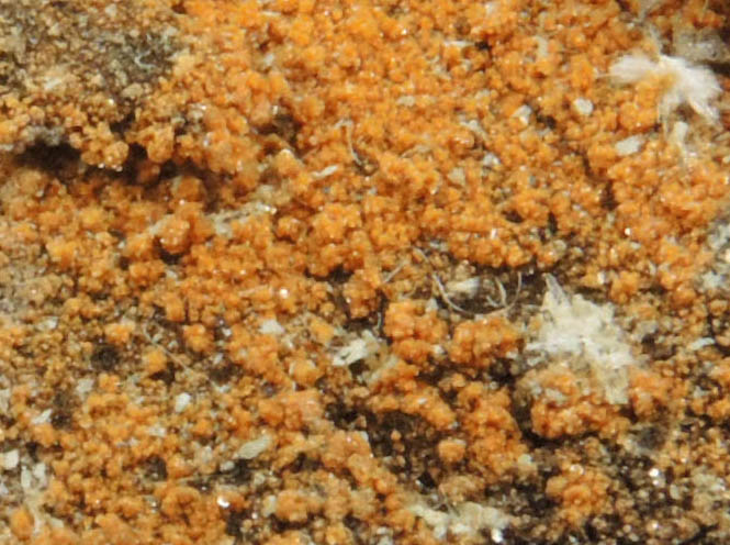 Desautelsite and Artinite from Artinite Pit, Clear Creek, New Idria District, San Benito County, California (Type Locality for Desautelsite)