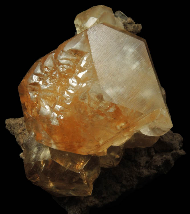 Calcite on Limestone from Paul Frank Quarry, North Vernon, Jennings County, Indiana