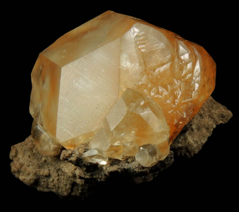 Calcite on Limestone from Paul Frank Quarry, North Vernon, Jennings County, Indiana