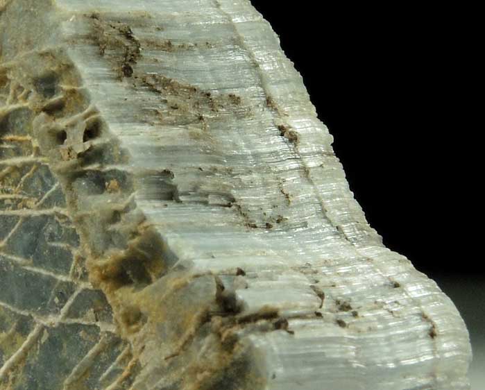 Celestine from Bell's Mill, Bellwood, Blair County, Pennsylvania (Type Locality for Celestine)