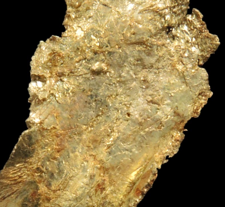 Gold from Round Mountain Gold Mine, 71.5 km north of Tonopah, Nye County, Nevada