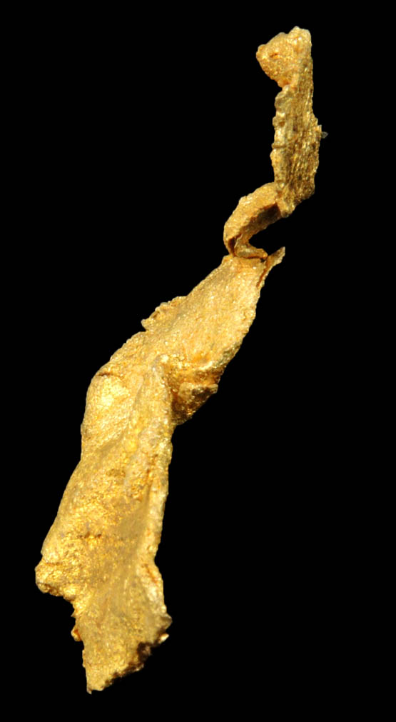 Gold from Round Mountain Gold Mine, 71.5 km north of Tonopah, Nye County, Nevada