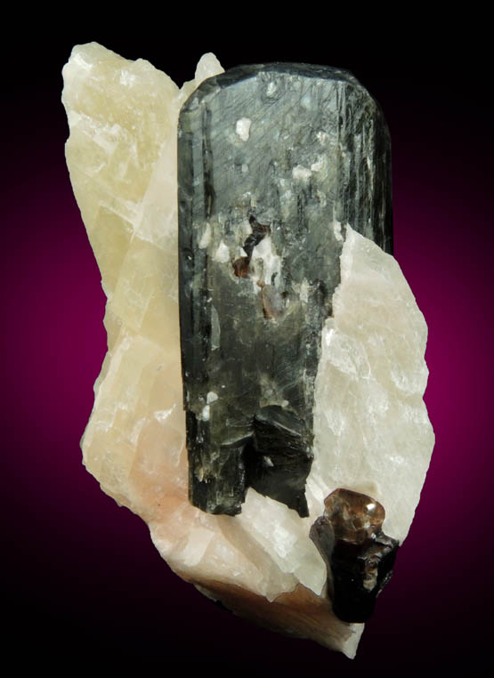 Fluoro-richterite (Fluororichterite) from Essonville road cut, 3.5 km SW of Wilberforce, Haliburton County, Ontario, Canada