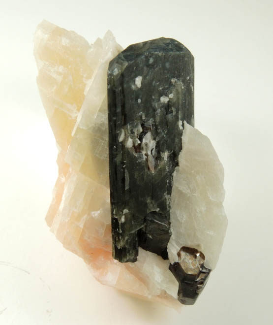 Fluoro-richterite (Fluororichterite) from Essonville road cut, 3.5 km SW of Wilberforce, Haliburton County, Ontario, Canada