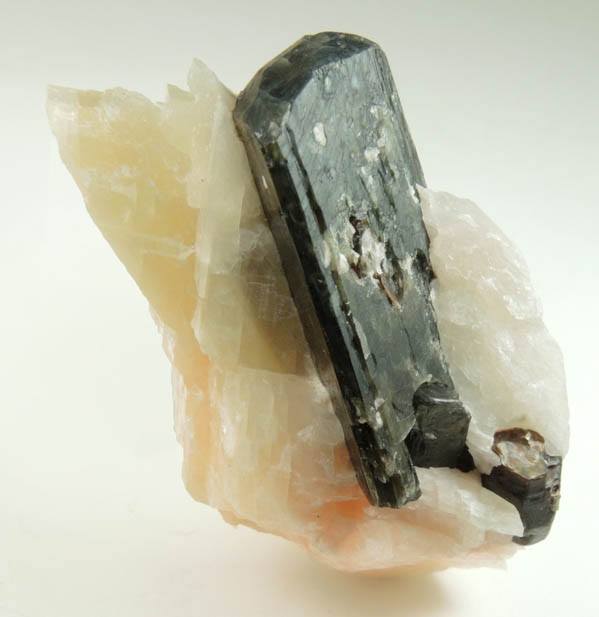 Fluoro-richterite (Fluororichterite) from Essonville road cut, 3.5 km SW of Wilberforce, Haliburton County, Ontario, Canada
