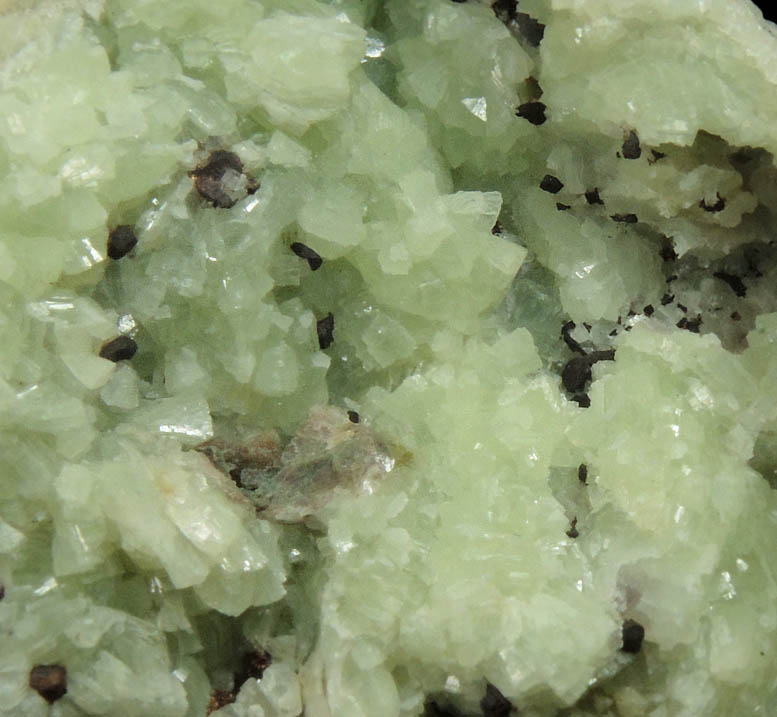 Copper on Prehnite from Iroquois Mine, 3.5 km northeast of Ahmeek, Keweenaw County, Michigan