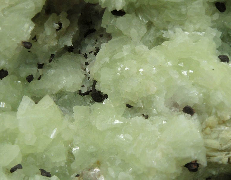 Copper on Prehnite from Iroquois Mine, 3.5 km northeast of Ahmeek, Keweenaw County, Michigan