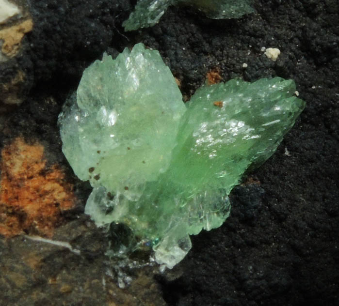 Anapaite from Kerch Iron-Ore Basin, eastern Crimea, Ukraine (annexed by Russia)