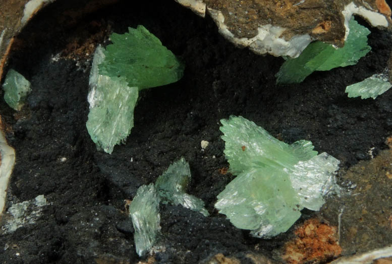 Anapaite from Kerch Iron-Ore Basin, eastern Crimea, Ukraine (annexed by Russia)