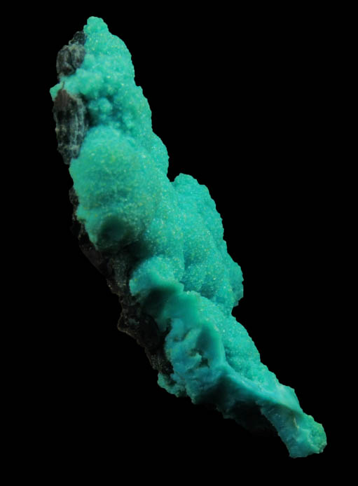 Aurichalcite from 79 Mine, Banner District, near Hayden, Gila County, Arizona