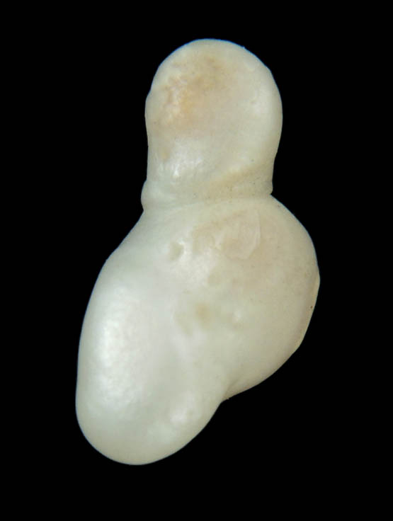 Pearl (freshwater) from Birdsong Creek, Camden, Benton County, Tennessee