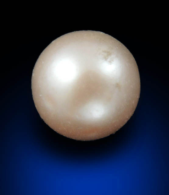 Pearl (freshwater) from Birdsong Creek, Camden, Benton County, Tennessee