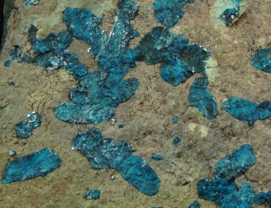 Cornetite from L'Etoile du Congo Mine, Lubumbashi, Katanga Copperbelt, Haut-Katanga Province, Democratic Republic of the Congo (Type Locality for Cornetite)