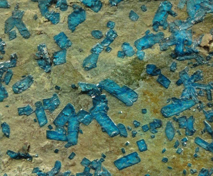 Cornetite from L'Etoile du Congo Mine, Lubumbashi, Katanga Copperbelt, Haut-Katanga Province, Democratic Republic of the Congo (Type Locality for Cornetite)