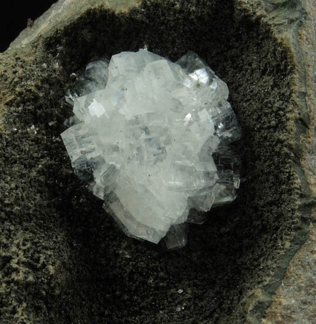 Epistilbite on Julgoldite from Jalgaon, Maharashtra, India