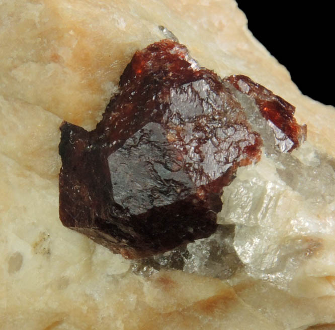 Almandine Garnet from Pegmatite exposure along power lines, west of Cathance Road, Topsham District, Sagadahoc County, Maine