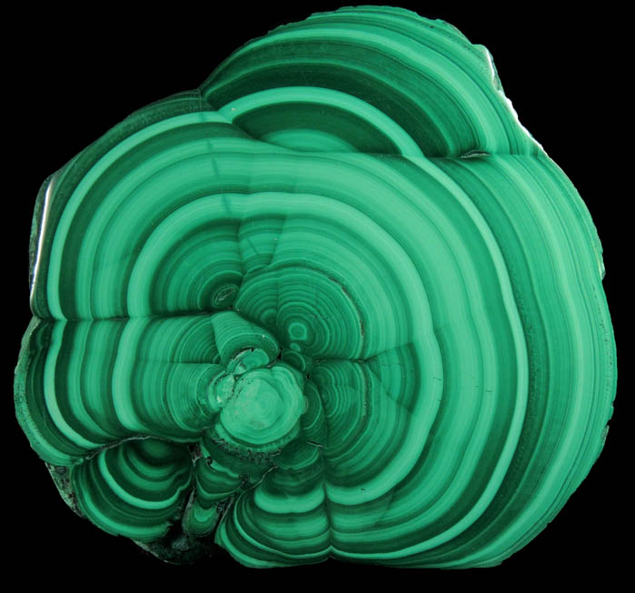 Malachite (polished slice exhibiting concentric growth) from Kolwezi Mining District, 240 km WNW of Lubumbashi, Katanga Copperbelt, Lualaba Province, Democratic Republic of the Congo