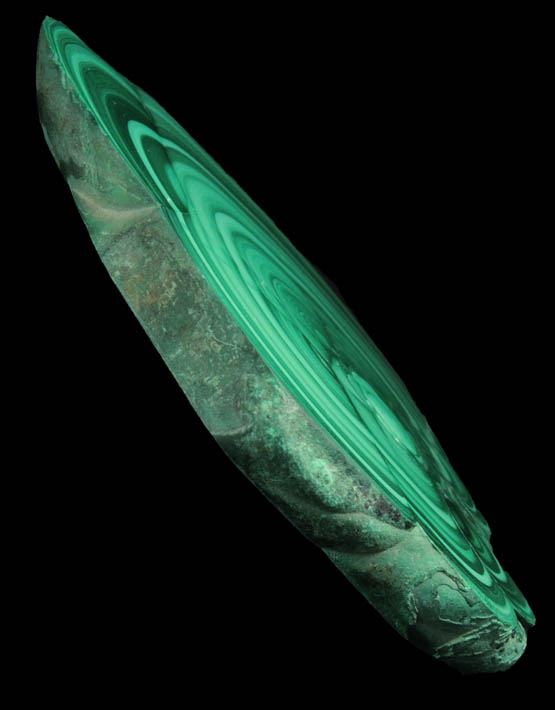 Malachite (polished slice exhibiting concentric growth) from Kolwezi Mining District, 240 km WNW of  Lubumbashi, Katanga Copperbelt, Lualaba Province, Democratic Republic of the Congo