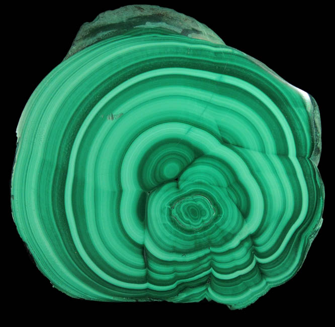 Malachite (polished slice exhibiting concentric growth) from Kolwezi Mining District, 240 km WNW of Lubumbashi, Katanga Copperbelt, Lualaba Province, Democratic Republic of the Congo