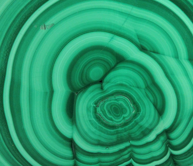 Malachite (polished slice exhibiting concentric growth) from Kolwezi Mining District, 240 km WNW of  Lubumbashi, Katanga Copperbelt, Lualaba Province, Democratic Republic of the Congo