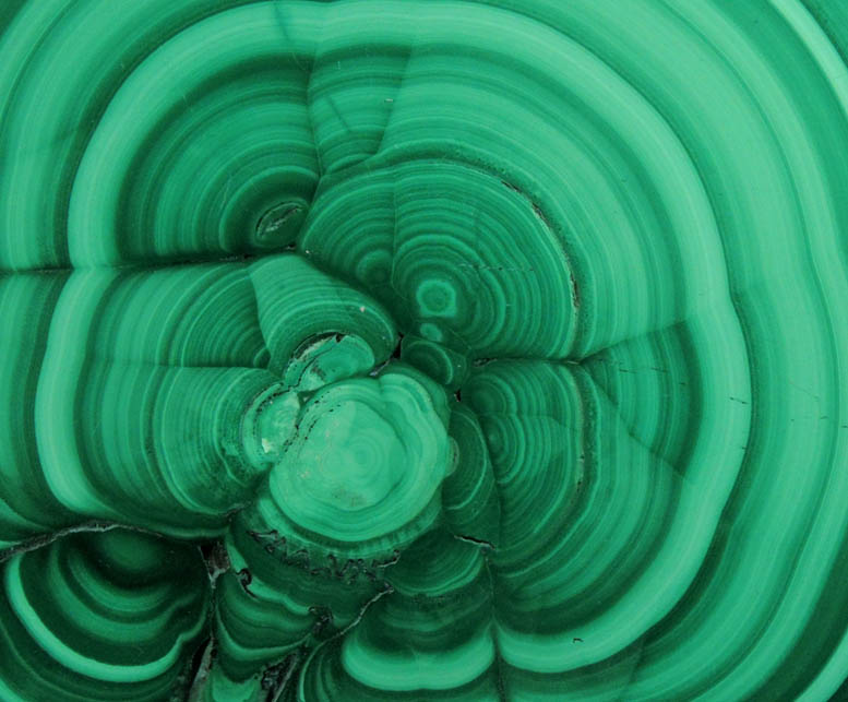 Malachite (polished slice exhibiting concentric growth) from Kolwezi Mining District, 240 km WNW of Lubumbashi, Katanga Copperbelt, Lualaba Province, Democratic Republic of the Congo