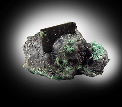 Wulfenite and Aurichalcite from 79 Mine, Banner District, near Hayden, Gila County, Arizona