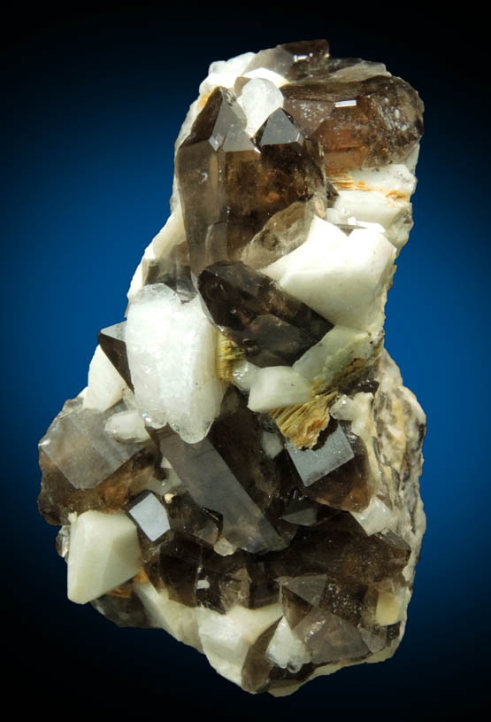 Quartz var. Smoky Quartz with Albite and Muscovite on Microcline from Moat Mountain, Oliver Diggings, Hale's Location, west of North Conway, New Hampshire