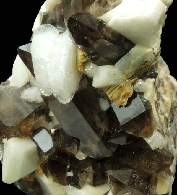 Quartz var. Smoky Quartz with Albite and Muscovite on Microcline from Moat Mountain, Oliver Diggings, Hale's Location, west of North Conway, New Hampshire