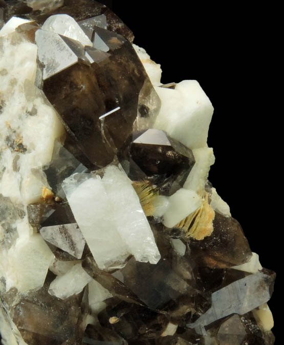 Quartz var. Smoky Quartz with Albite and Muscovite on Microcline from Moat Mountain, Oliver Diggings, Hale's Location, west of North Conway, New Hampshire