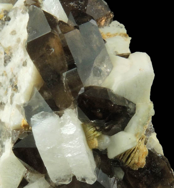Quartz var. Smoky Quartz with Albite and Muscovite on Microcline from Moat Mountain, Oliver Diggings, Hale's Location, west of North Conway, New Hampshire